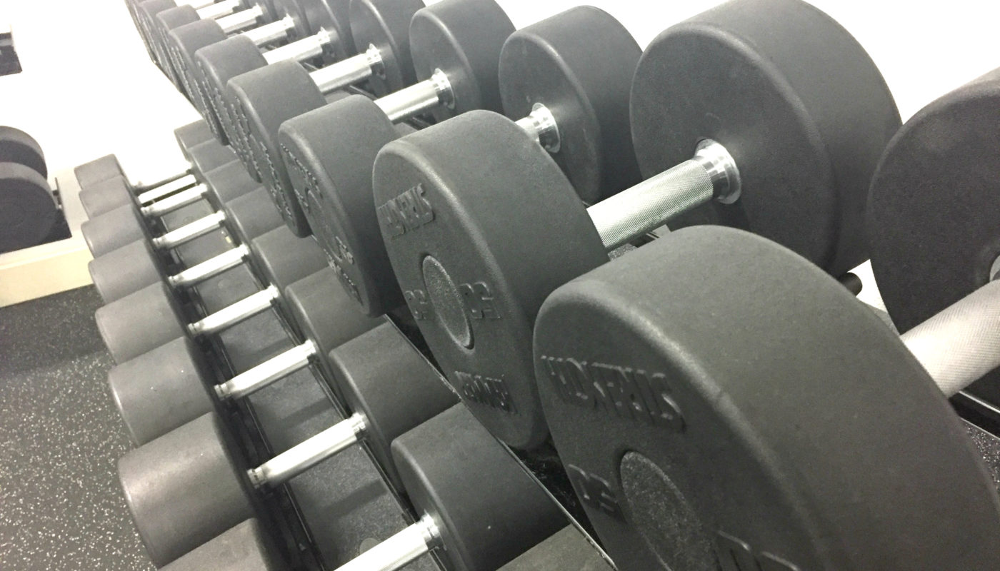 Dumbell rack ranging from light to heavy weights at Define Gym.